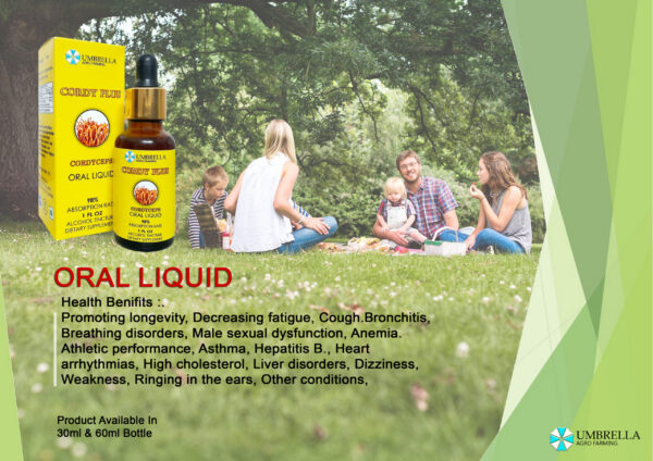 Cordyceps Militaris Extract Liquid Tincure - Image 2