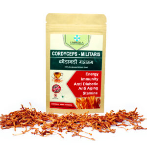 Cordyceps Militaris Dry Fruting Body