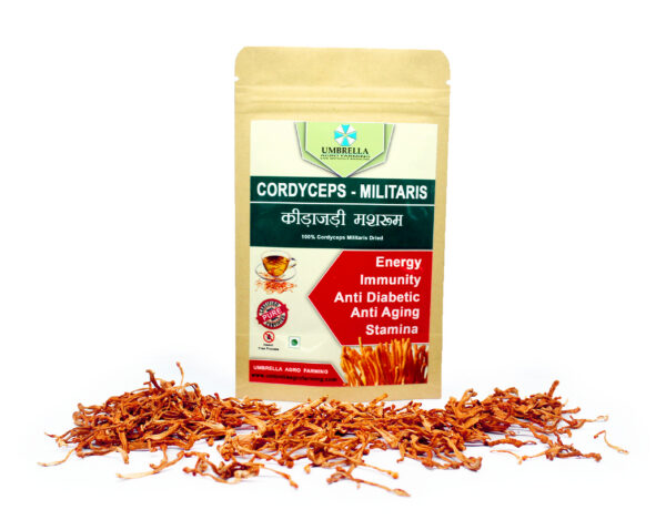 Cordyceps Militaris Dry Fruting Body